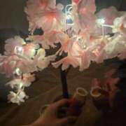 ヒメ日記 2026/04/04 00:01 投稿 月城みつは ABC 岩手ソープ