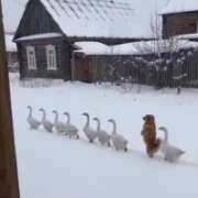 ヒメ日記 2026/04/06 06:46 投稿 月城みつは ABC 岩手ソープ