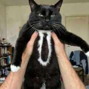 ヒメ日記 2026/04/10 14:31 投稿 月城みつは ABC 岩手ソープ