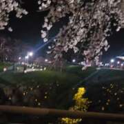 ヒメ日記 2026/04/12 22:01 投稿 月城みつは ABC 岩手ソープ