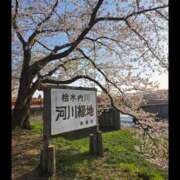 ヒメ日記 2026/04/20 05:46 投稿 月城みつは ABC 岩手ソープ