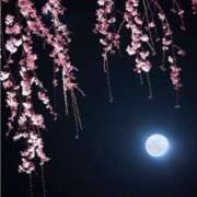 ヒメ日記 2026/04/24 18:16 投稿 月城みつは ABC 岩手ソープ