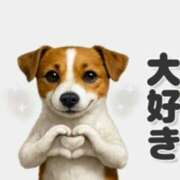 ヒメ日記 2026/06/13 09:31 投稿 月城みつは ABC 岩手ソープ