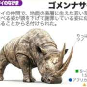 ヒメ日記 2026/08/06 15:46 投稿 月城みつは ABC 岩手ソープ