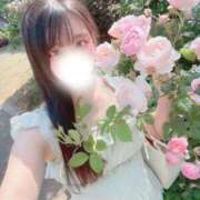 ヒメ日記 2026/05/25 14:31 投稿 ラナ エピソード(品川)