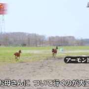 ヒメ日記 2026/08/08 00:16 投稿 冴島めめ ABC 岩手ソープ