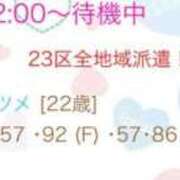 ヒメ日記 2026/08/14 02:16 投稿 ナツメ エピソード(品川)