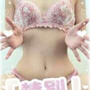 ヒメ日記 2026/02/20 07:57 投稿 りお 奥様メモリアル