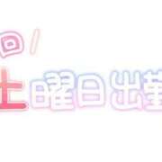 ヒメ日記 2026/08/24 06:52 投稿 りお 奥様メモリアル