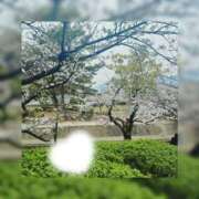 ヒメ日記 2026/03/30 16:04 投稿 あめ Club Paradise（クラブパラダイス）