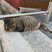 ヒメ日記 2026/01/12 21:05 投稿 ゆりあ 福岡飯塚田川ちゃんこ