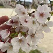 ヒメ日記 2026/04/07 15:15 投稿 ゆりあ 福岡飯塚田川ちゃんこ