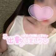 ヒメ日記 2025/12/25 08:20 投稿 もこ ANNEX（アネックス）