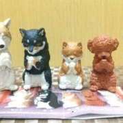 ヒメ日記 2025/12/26 16:25 投稿 平田ほむら 松戸人妻花壇