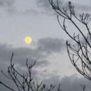 ヒメ日記 2026/01/02 20:54 投稿 大川ゆう アラフォーna奥様 アラフィフna奥様（埼玉ハレ系）