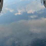 ヒメ日記 2026/01/02 23:31 投稿 大川ゆう アラフォーna奥様 アラフィフna奥様（埼玉ハレ系）