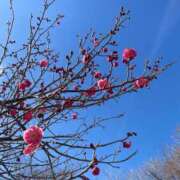 ヒメ日記 2026/01/03 13:10 投稿 大川ゆう アラフォーna奥様 アラフィフna奥様（埼玉ハレ系）