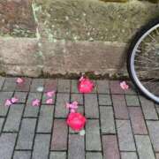 ヒメ日記 2026/01/03 14:50 投稿 大川ゆう アラフォーna奥様 アラフィフna奥様（埼玉ハレ系）