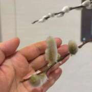 ヒメ日記 2026/01/23 23:04 投稿 大川ゆう アラフォーna奥様 アラフィフna奥様（埼玉ハレ系）