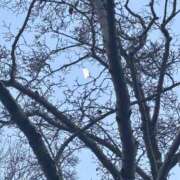 ヒメ日記 2026/01/29 21:02 投稿 大川ゆう アラフォーna奥様 アラフィフna奥様（埼玉ハレ系）