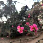 ヒメ日記 2026/02/01 21:02 投稿 大川ゆう アラフォーna奥様 アラフィフna奥様（埼玉ハレ系）