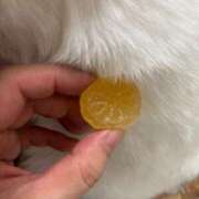 ヒメ日記 2026/02/05 08:59 投稿 大川ゆう アラフォーna奥様 アラフィフna奥様（埼玉ハレ系）