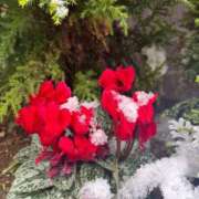 ヒメ日記 2026/02/08 18:03 投稿 大川ゆう アラフォーna奥様 アラフィフna奥様（埼玉ハレ系）