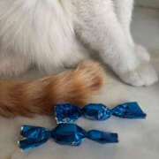 ヒメ日記 2026/02/21 21:03 投稿 大川ゆう アラフォーna奥様 アラフィフna奥様（埼玉ハレ系）