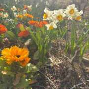 ヒメ日記 2026/02/27 08:31 投稿 大川ゆう アラフォーna奥様 アラフィフna奥様（埼玉ハレ系）