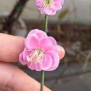 ヒメ日記 2026/03/03 08:36 投稿 大川ゆう アラフォーna奥様 アラフィフna奥様（埼玉ハレ系）