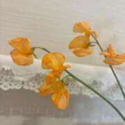 ヒメ日記 2026/03/09 08:34 投稿 大川ゆう アラフォーna奥様 アラフィフna奥様（埼玉ハレ系）