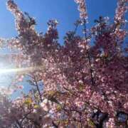 ヒメ日記 2026/03/15 08:34 投稿 大川ゆう アラフォーna奥様 アラフィフna奥様（埼玉ハレ系）