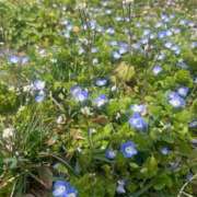 ヒメ日記 2026/03/18 08:31 投稿 大川ゆう アラフォーna奥様 アラフィフna奥様（埼玉ハレ系）