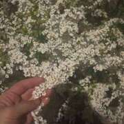 ヒメ日記 2026/03/23 08:29 投稿 大川ゆう アラフォーna奥様 アラフィフna奥様（埼玉ハレ系）