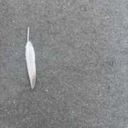 ヒメ日記 2026/03/29 08:47 投稿 大川ゆう アラフォーna奥様 アラフィフna奥様（埼玉ハレ系）