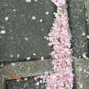 ヒメ日記 2026/04/01 08:34 投稿 大川ゆう アラフォーna奥様 アラフィフna奥様（埼玉ハレ系）