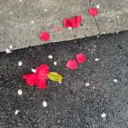 ヒメ日記 2026/04/07 08:29 投稿 大川ゆう アラフォーna奥様 アラフィフna奥様（埼玉ハレ系）