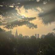 ヒメ日記 2026/04/20 08:29 投稿 大川ゆう アラフォーna奥様 アラフィフna奥様（埼玉ハレ系）