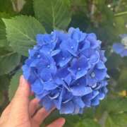 ヒメ日記 2026/06/08 08:28 投稿 大川ゆう アラフォーna奥様 アラフィフna奥様（埼玉ハレ系）