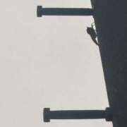 ヒメ日記 2026/07/26 08:51 投稿 大川ゆう アラフォーna奥様 アラフィフna奥様（埼玉ハレ系）
