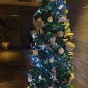 ヒメ日記 2025/12/23 18:01 投稿 白花ふう 渋谷ガーデン