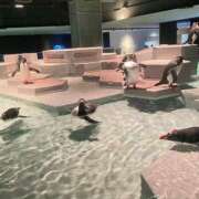 ヒメ日記 2026/01/10 00:33 投稿 桃瀬　翠 タッチVIP