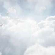 ヒメ日記 2026/01/16 11:33 投稿 桃瀬　翠 タッチVIP