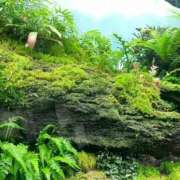 ヒメ日記 2026/01/30 00:48 投稿 桃瀬　翠 タッチVIP