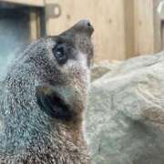 桃瀬　翠 〜🎧🎼〜 タッチVIP