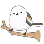 桃瀬　翠 〜😸💗〜 タッチVIP