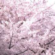 ヒメ日記 2026/04/27 15:13 投稿 桃瀬　翠 タッチVIP
