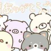 ヒメ日記 2025/12/16 16:10 投稿 ちこ ダイスキ