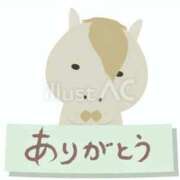 ヒメ日記 2025/12/22 13:30 投稿 ちこ ダイスキ