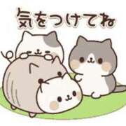 ヒメ日記 2026/01/14 09:52 投稿 ちこ ダイスキ